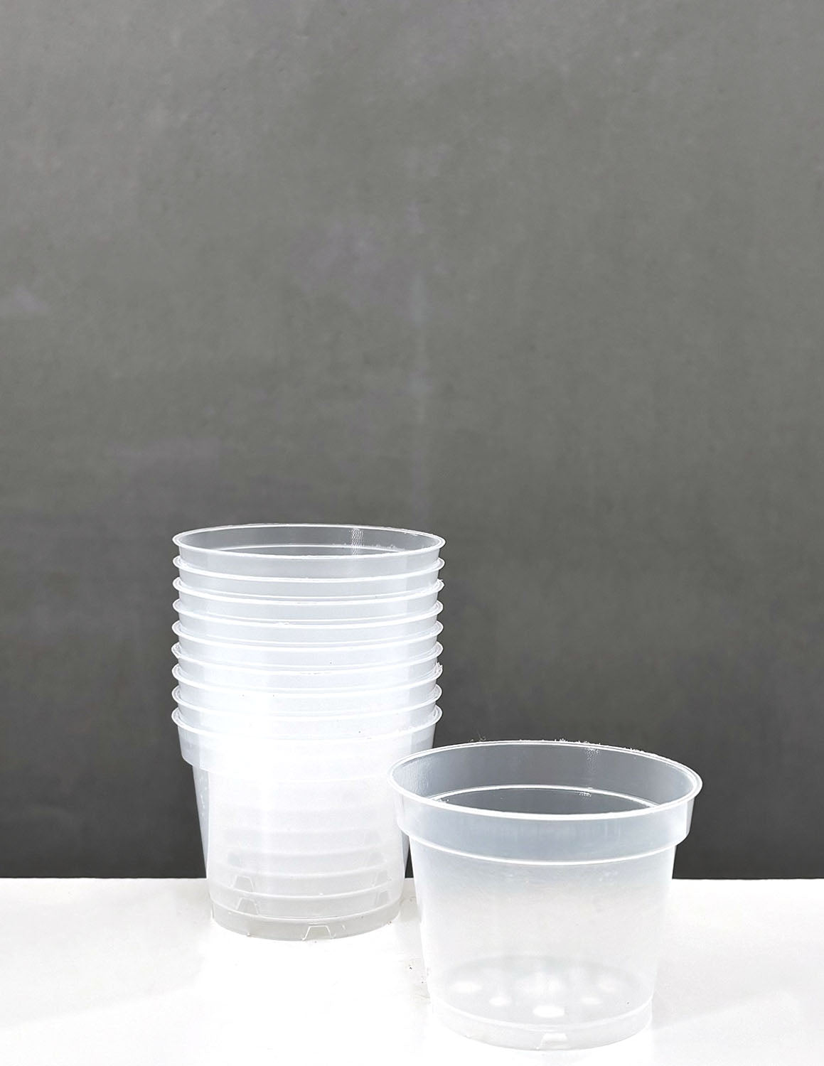 2 litre plant pot size 2" Pot – Plant Proper
