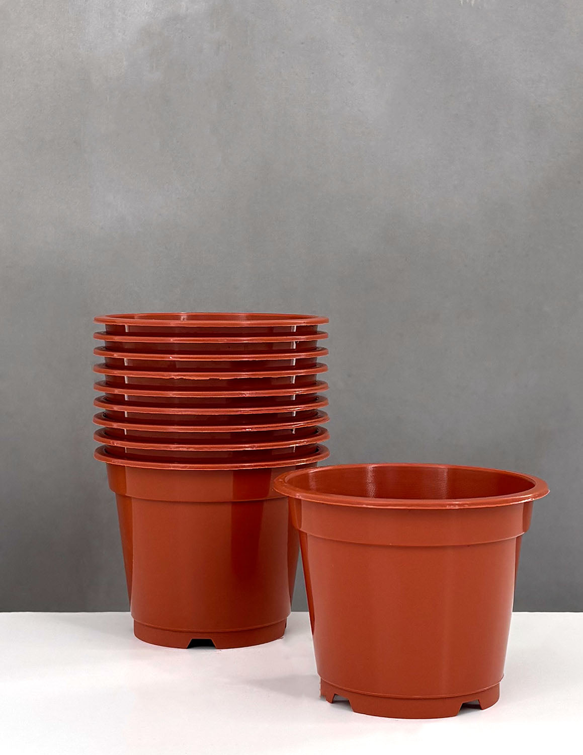 3 inch pots for plants 3" Pot