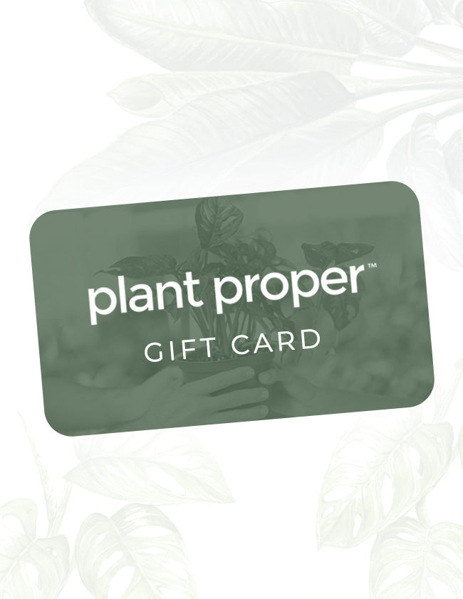 Gift Card - Plant Proper