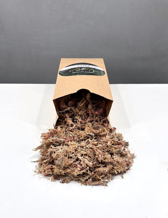 Sphagnum Moss - Accessory - Plant Proper