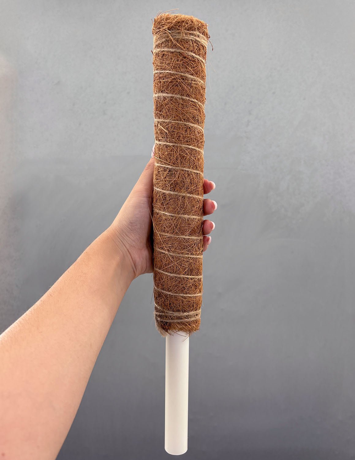 coco coir moss pole Coco Coir Pole – Plant Proper
