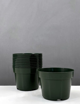 4" Azalea Pot - Accessory - Plant Proper