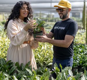 How To Propagate Syngonium | Expert Tips | Plant Proper