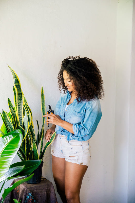 Earth Day Art Projects | Plant Proper