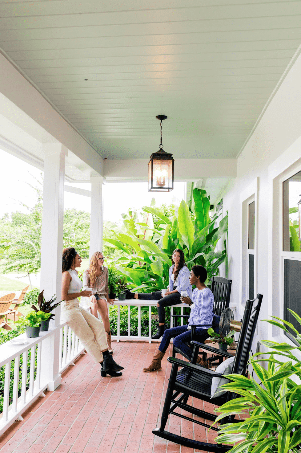 Hoya Kerrii | House Plants | Plant Proper