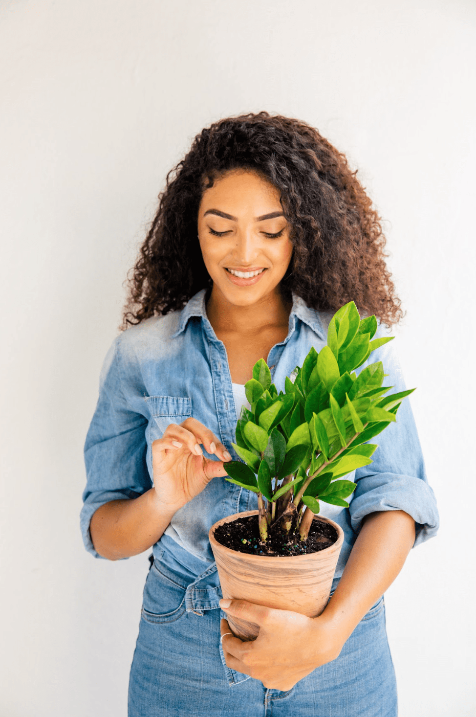 Feng Shui Bathroom Plants | Plant Proper