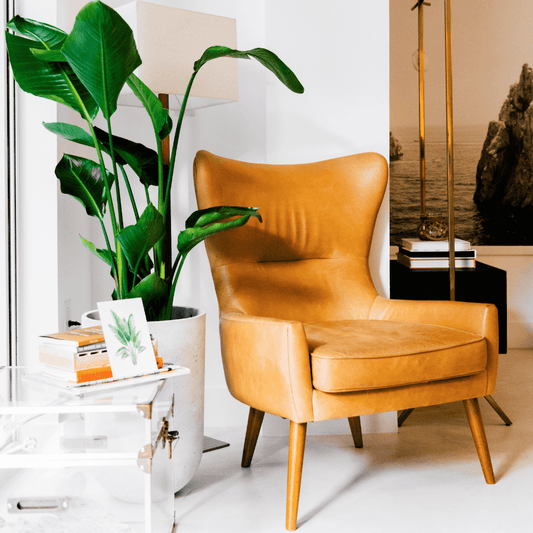 Feng Shui Plants | House Plants | Plant Proper