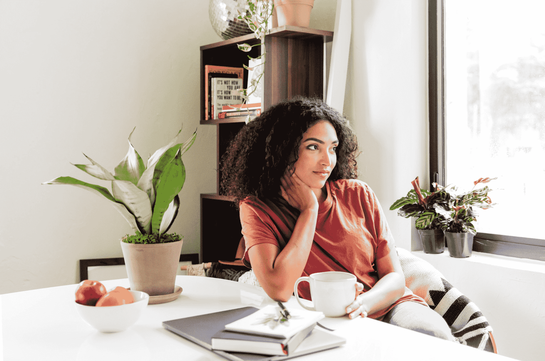 Feng Shui Plants in Bedroom | Plant Proper