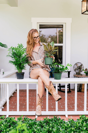 How Often to Water Monstera Deliciosa | Plant Proper