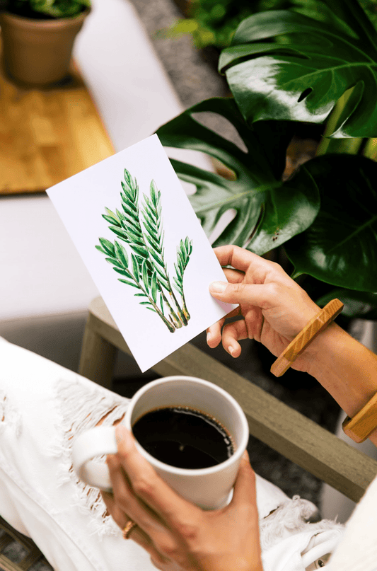 How To Care For ZZ Plant | Plant Proper