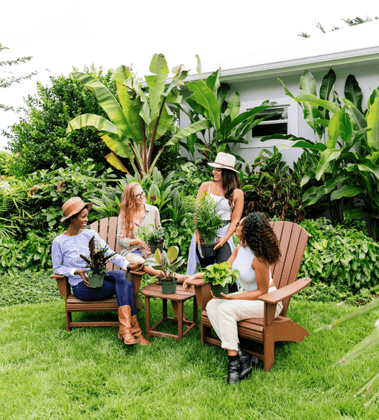 How To Care For a Hoya Plant | Plant Proper