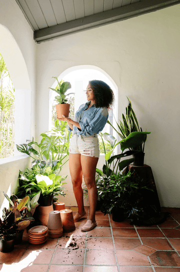How To Measure Plant Pot Size | Plant Proper