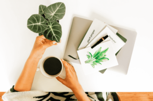 Philodendron Joepii | House Plants | Plant Proper