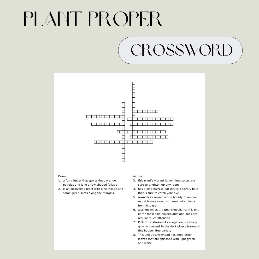 Plant Puzzle | House Plants | Plant Proper
