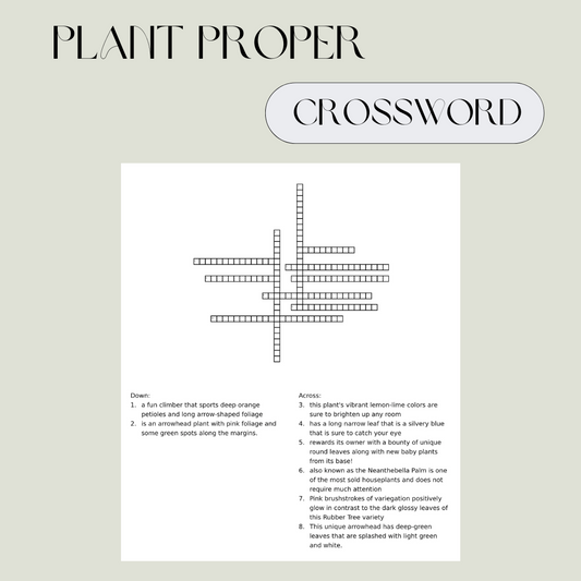 Plant Puzzle | House Plants | Plant Proper