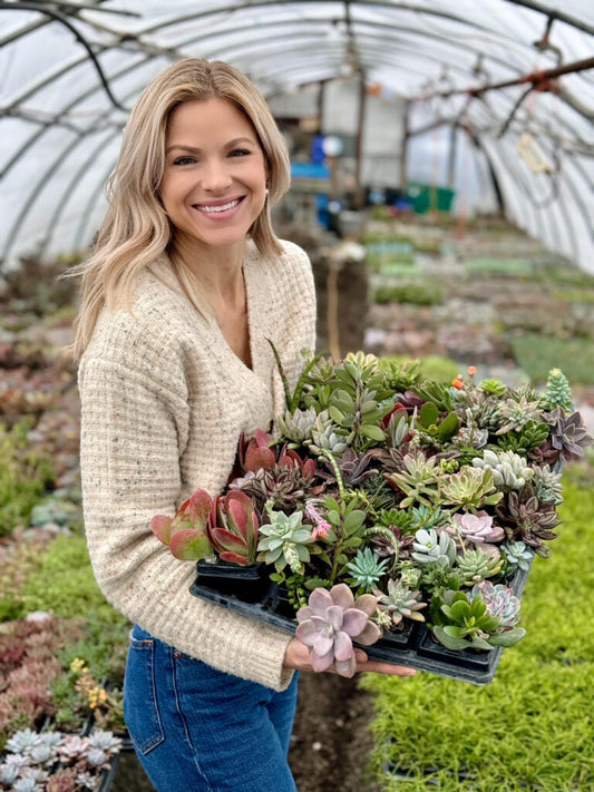 Q&A with “Fancy Plants Club” | Plant Proper