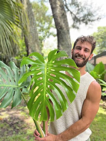 Q&A with “PVPlantGuy” | Plant Proper