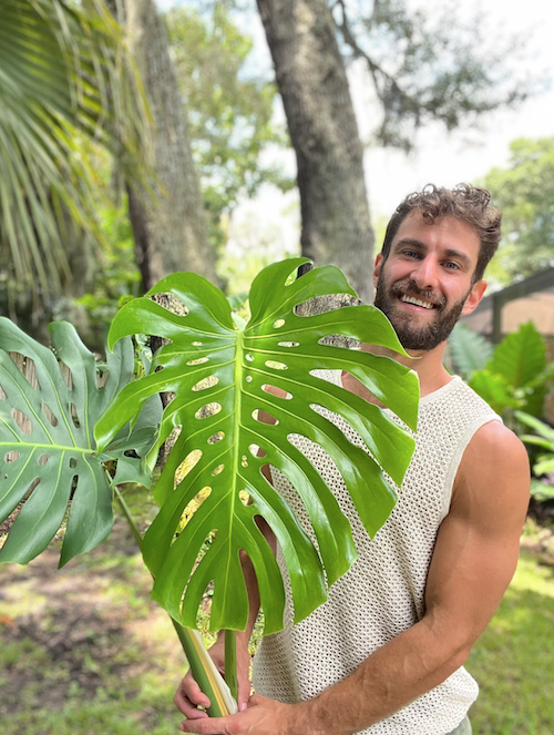 Q&A with “PVPlantGuy” | Plant Proper