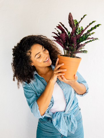 Romantic Plants | Valentines Day at Plant Proper