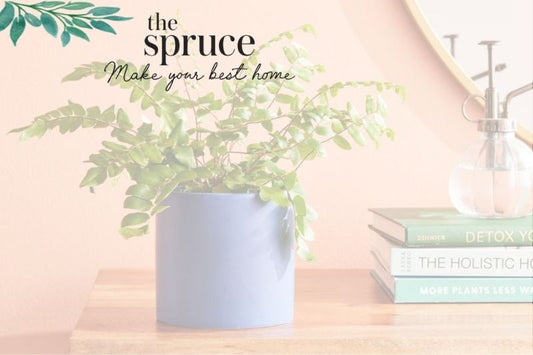 8 Plants Houseplant Pros Say People Always Regret Buying (and What You Should Get Instead)