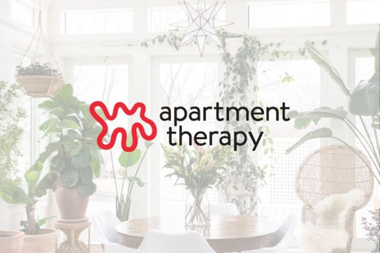 I Don’t Have a Green Thumb, but This Plant Service Helped Me Keep a Houseplant Alive for the First Time