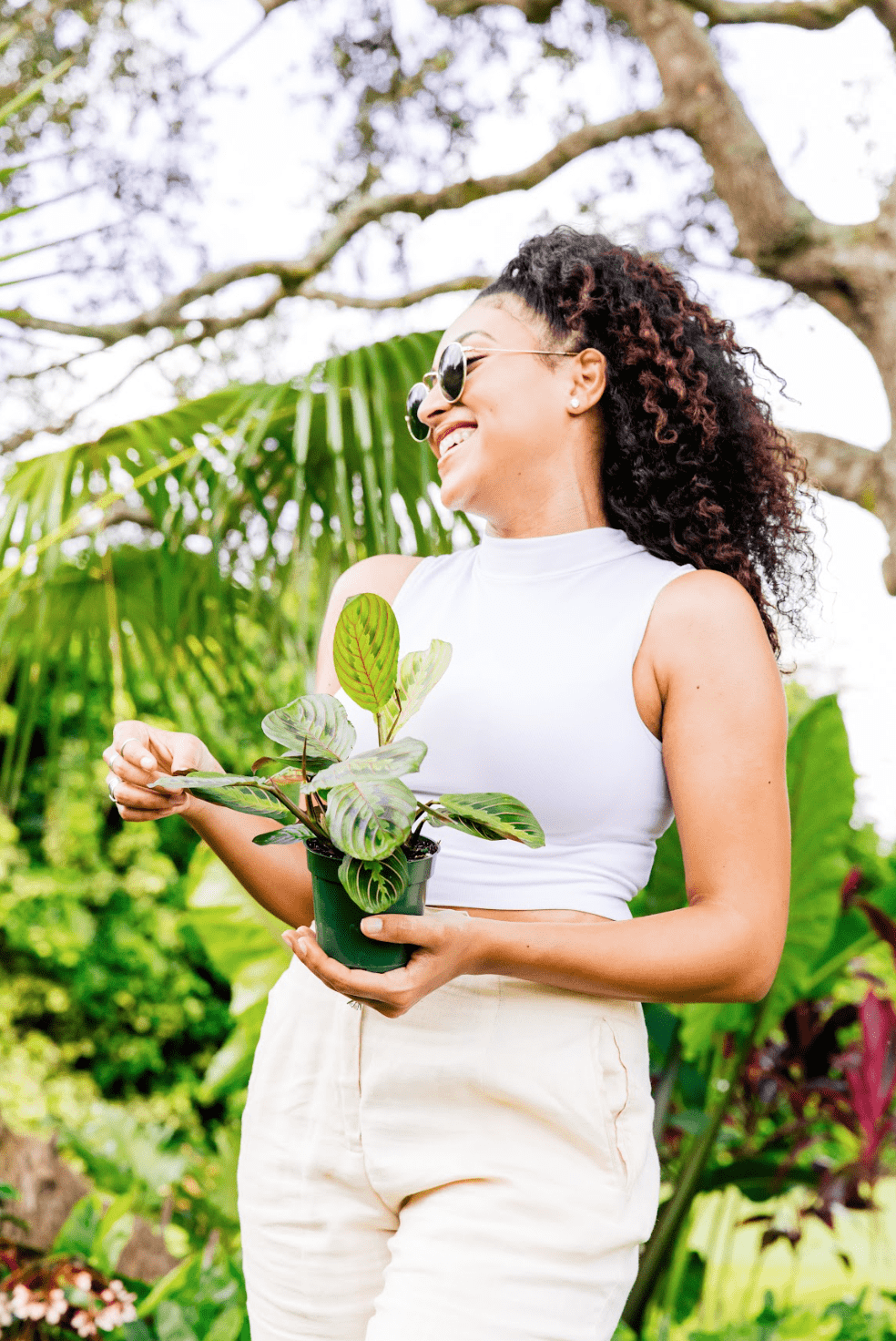 Which House Plants Produce The Most Oxygen | Plant Proper