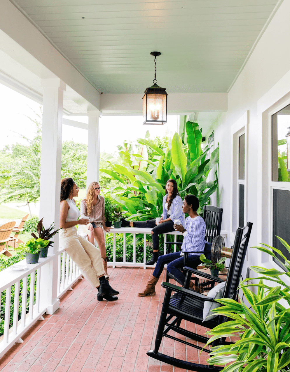 Which Houseplants Can Go Outside In Summer | Plant Proper