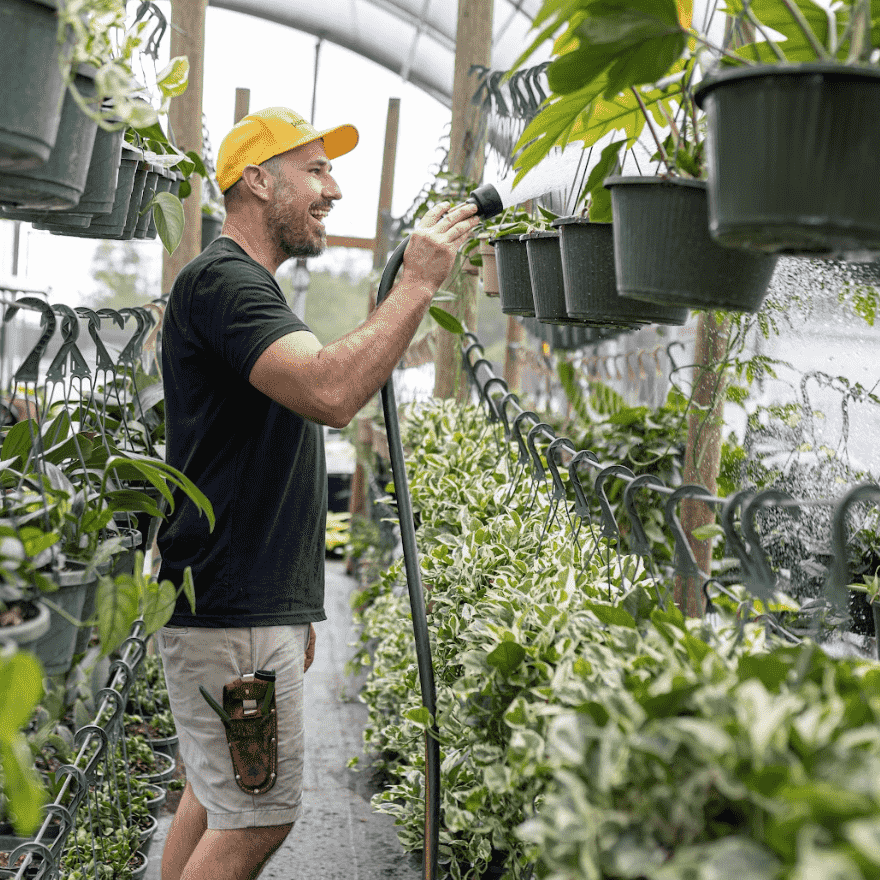 How Often Should You Fertilize House Plants | Plant Proper