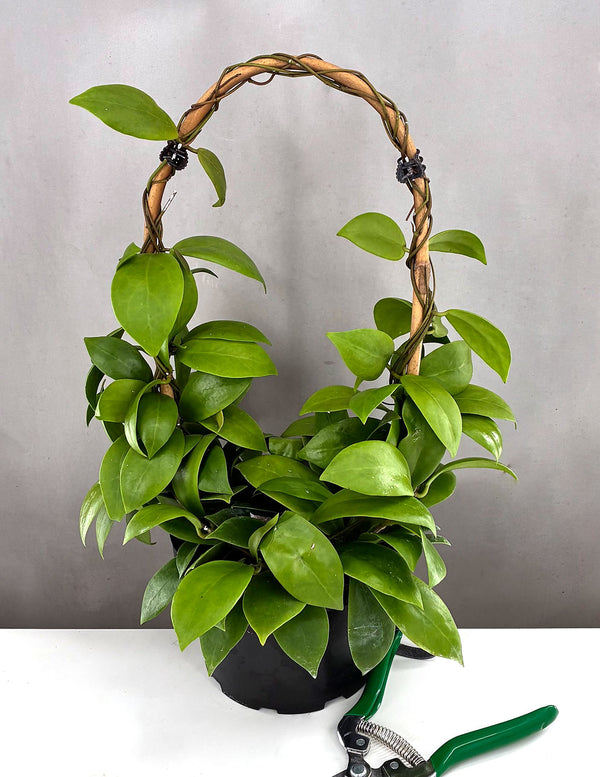 artificial hydrangeas plant Cream Green Artificial Hydrangea Branch